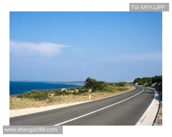 探索甘美WVS高士路的独特魅力与风景，感受城市与自然的完美融合