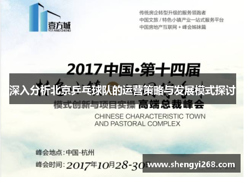 深入分析北京乒乓球队的运营策略与发展模式探讨