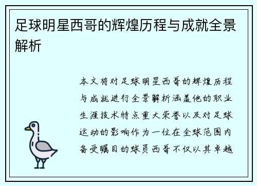 足球明星西哥的辉煌历程与成就全景解析